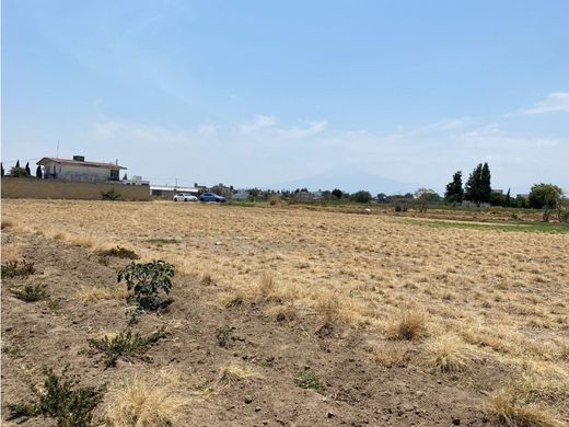 地皮  出售 Cholula