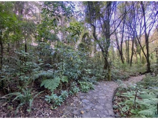 Terreno - Valle de Bravo, México (estado)
