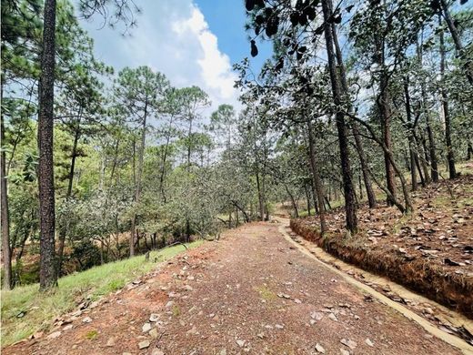 ‏קרקע ב  Valle de Bravo, Estado de México