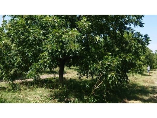 Cortijo o casa de campo en Rancho San Buenaventura, López