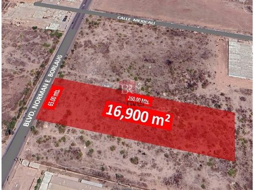 Αγροτεμάχιο σε Ciudad Obregón, Cajeme