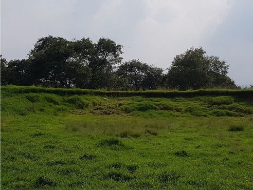 Terreno a Nicolás Romero, Messico (stato federato)