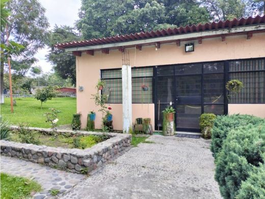 Quinta rústica - Tepetlixpa, México (estado)