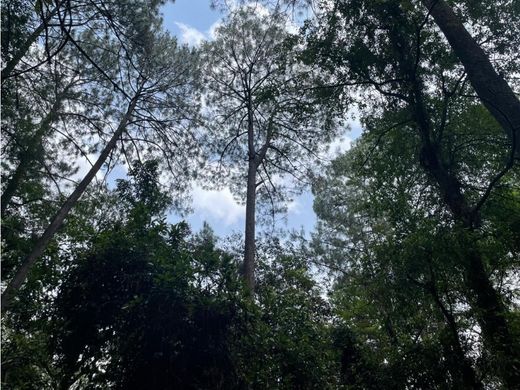 Terreno - Valle de Bravo, México (estado)