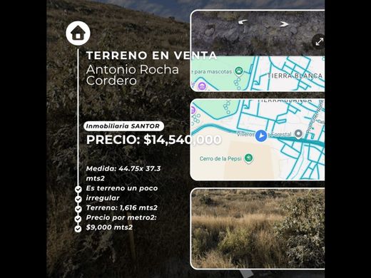 Teren w San Luis Potosí