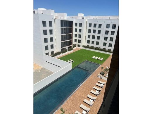 Пентхаус, Кабо-Сан-Лукас, Los Cabos