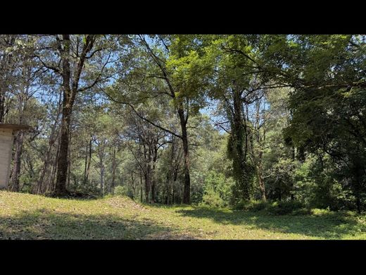 Arsa Valle de Bravo, Estado de México