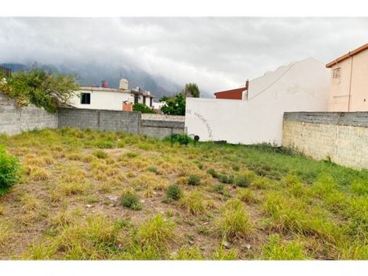 Arsa Monterrey, Estado de Nuevo León