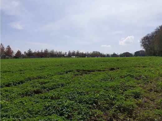 Land in Huasca de Ocampo, Hidalgo