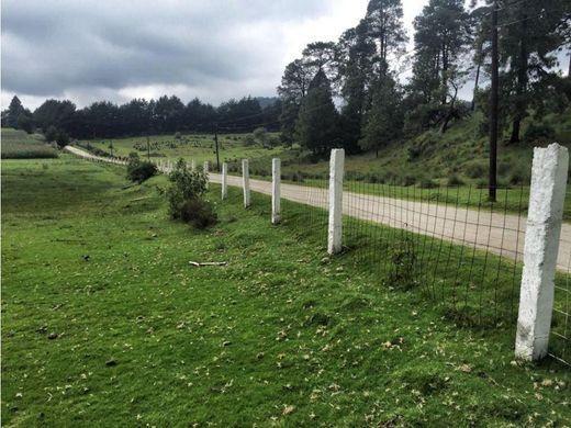 Terreno en Chapa de Mota, Estado de México