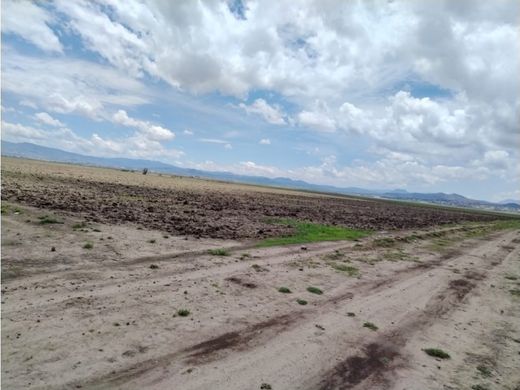 Teren w Pachuca de Soto, Hidalgo