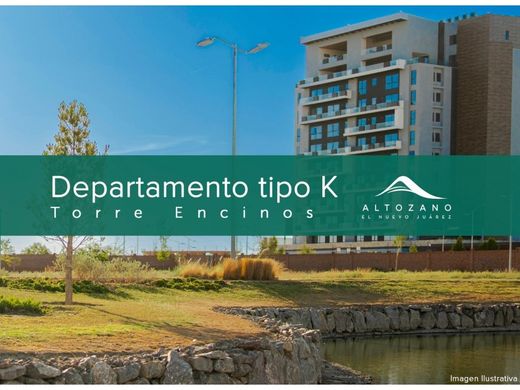 Apartment in Ciudad Juárez, Juárez