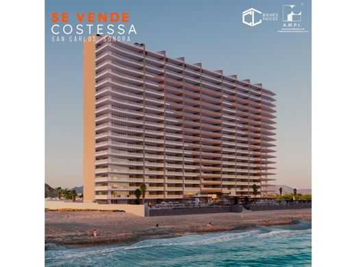 Komplex apartman San Carlos, Guaymas