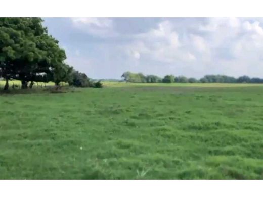 Teren w Luis Gil Pérez, Centro