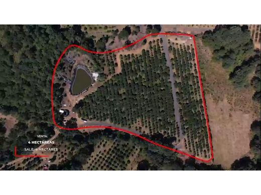 أرض ﻓﻲ Zacapú, Zacapu