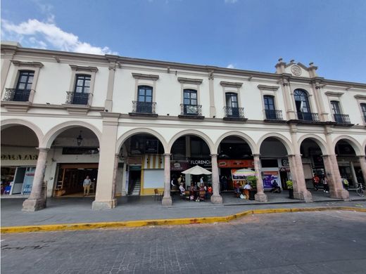 Ofis Sahuayo de Morelos, Sahuayo