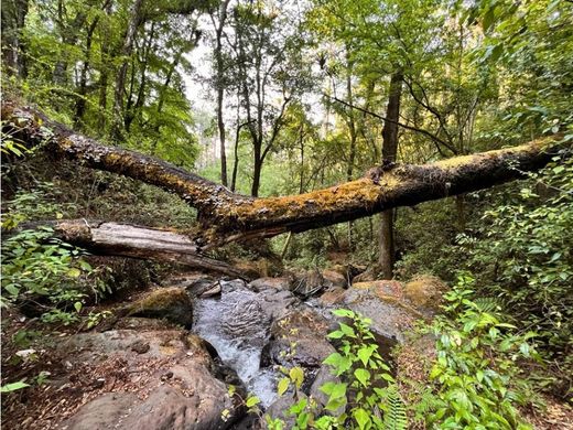 Terreno - Valle de Bravo, México (estado)