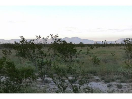 Arsa Saltillo, Estado de Coahuila de Zaragoza