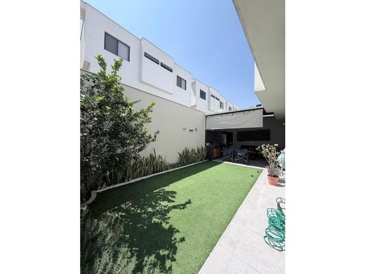 Maison de luxe à Monterrey, Nuevo León