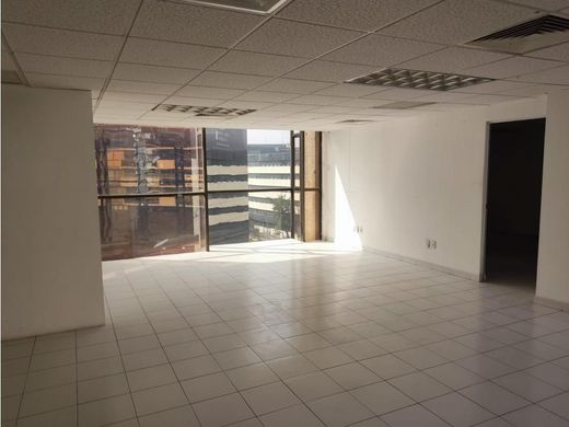 Office in Miguel Hidalgo, The Federal District