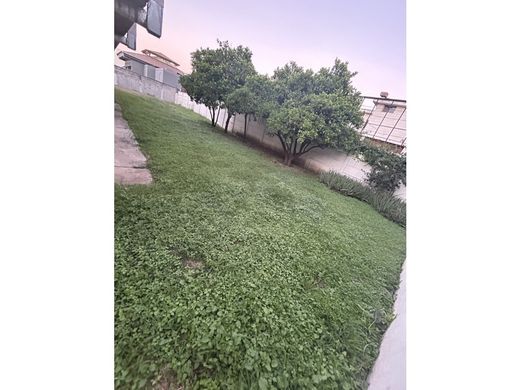 토지 / San Pedro, China