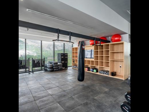 Daire Monterrey, Estado de Nuevo León