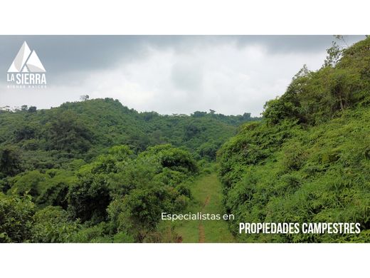 Terrain à Xicotepec de Juárez, Xicotepec