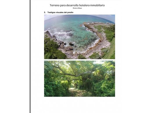 Terreno - Puerto Aventuras, Solidaridad