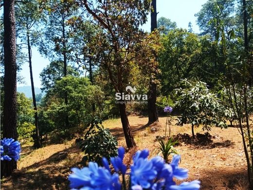 أرض ﻓﻲ Valle de Bravo, Estado de México