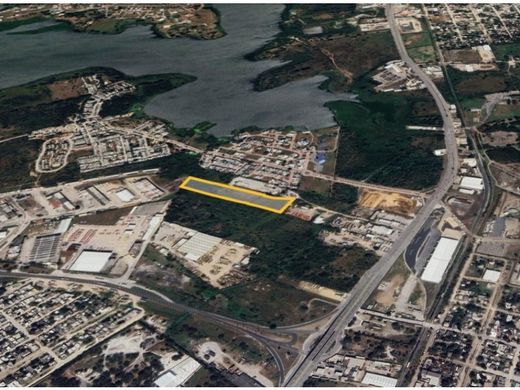 Teren w Altamira, Tamaulipas