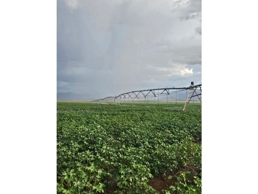 Terreno a Nuevo Casas Grandes, Chihuahua