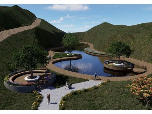 Ensenada, Estado de Baja Californiaの土地