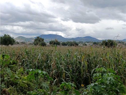 Terreno a Tezoyuca, Messico (stato federato)