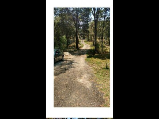 Land in Jilotzingo, Hueypoxtla