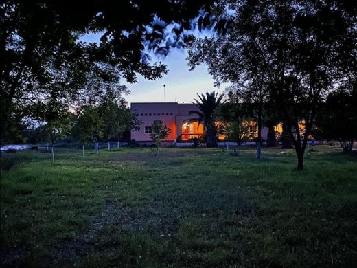 ‏בתים כפריים או חוות ב  Venado, Estado de San Luis Potosí