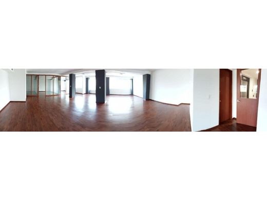 Cuauhtémoc, Ciudad de Méxicoのオフィス