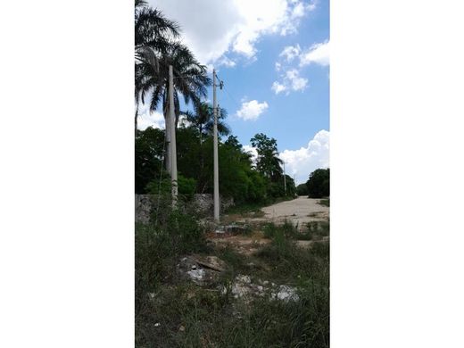 토지 / Mérida, Estado de Yucatán