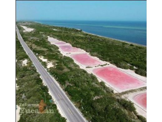 Land in Dzilam de Bravo, Yucatán