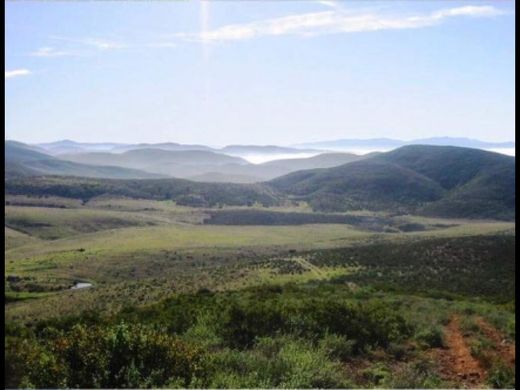 Участок, Ensenada, Estado de Baja California