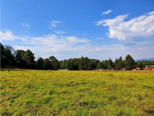 토지 / Valle de Bravo, Estado de México