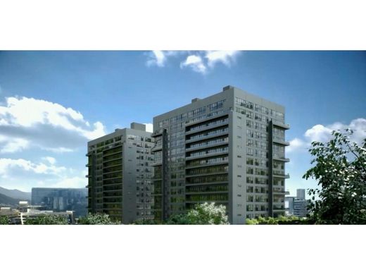 Apartment in Mexico City, The Federal District