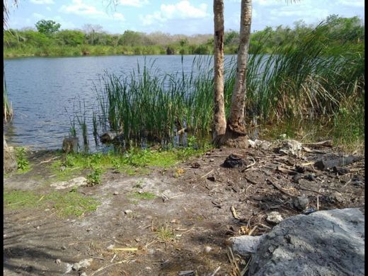 Terreno a Tulum, Quintana Roo