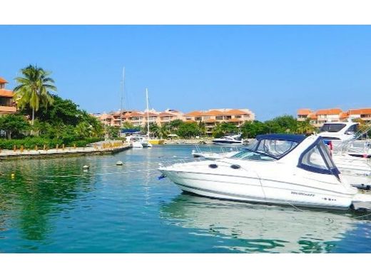 ‏קרקע ב  פלאיה דל כרמן
, Solidaridad