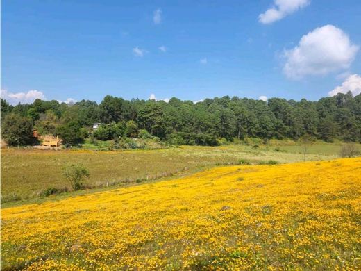 Terreno en Valle de Bravo, Estado de México