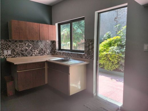 豪宅  Colonia Benito Juárez, Villa de Tezontepec