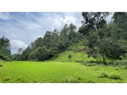 Teren w Valle de Bravo, Estado de México