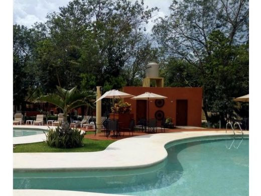 Rustik ya da çiftlik Colonia Benito Juárez, Villa de Tezontepec