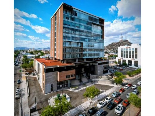 Hermosillo, ソノラ州のオフィス