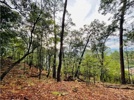 Terreno en Valle de Bravo, Estado de México