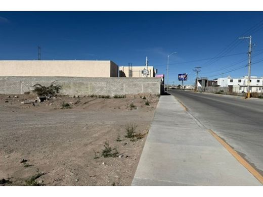 Teren w Ciudad Juárez, Juárez